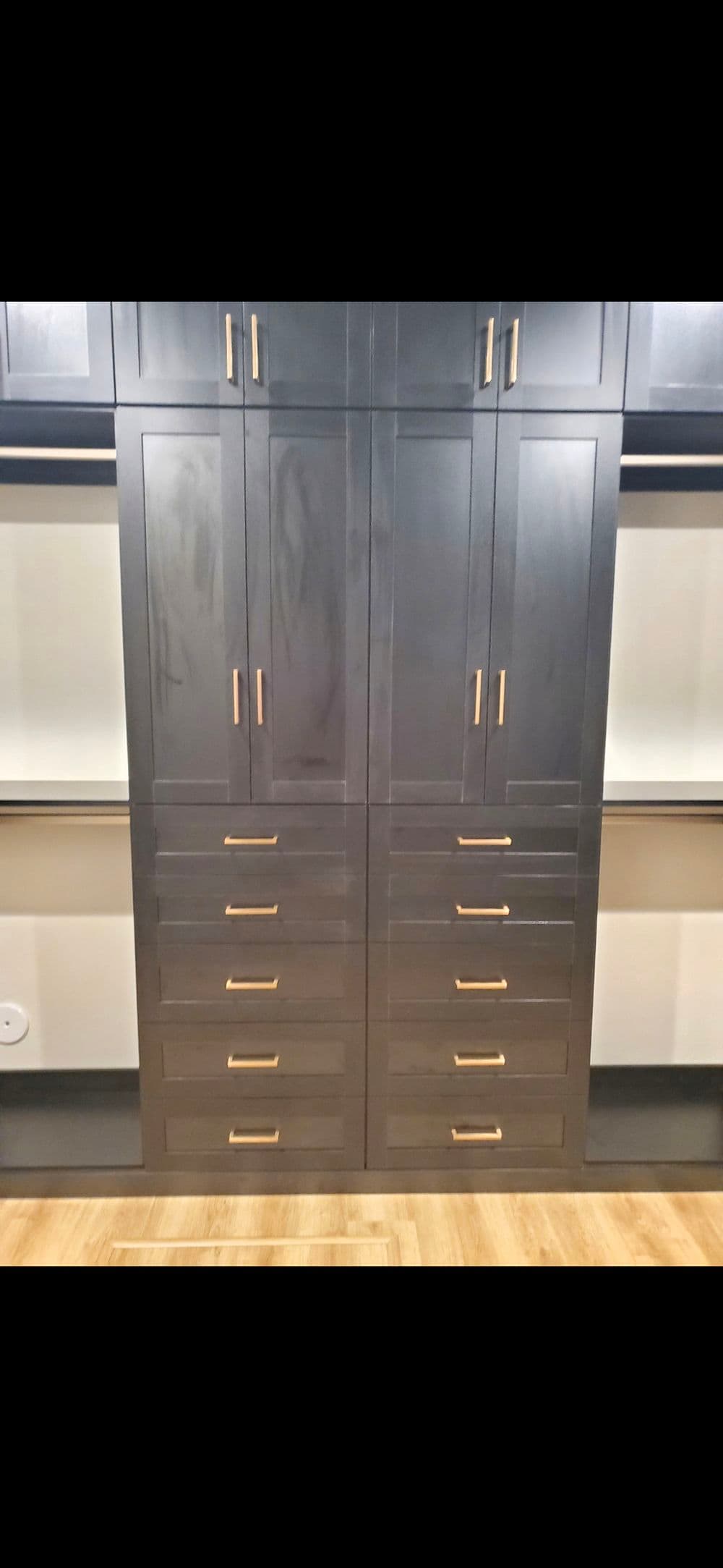 Modern dark wood closet design with brass handles and ample storage drawers.